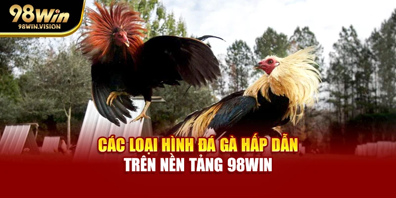 Các loại hình đá gà hấp dẫn trên nền tảng 98WIN