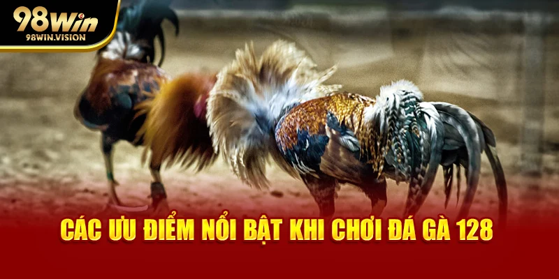 Các ưu điểm nổi bật khi chơi đá gà 128