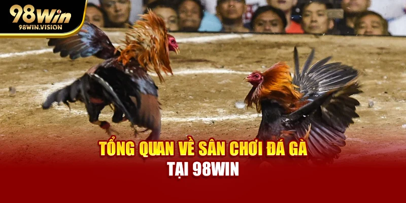 Tổng quan về sân chơi Đá Gà tại 98WIN