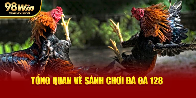 Tổng quan về sảnh chơi đá gà 128